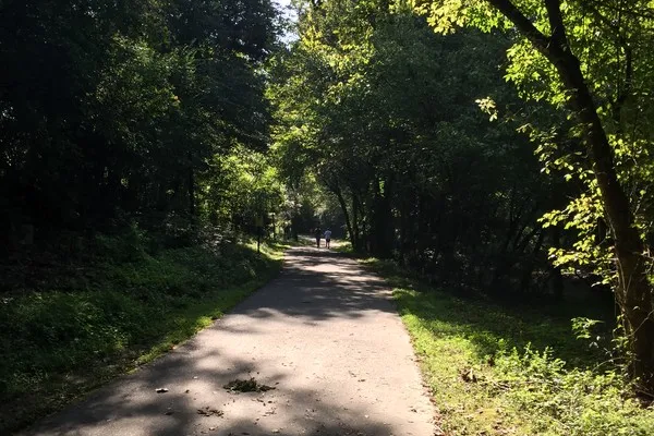 Lower McAlpine Creek and Greenway Lower McAlpine Creek and Greenway | Image of park walking trail