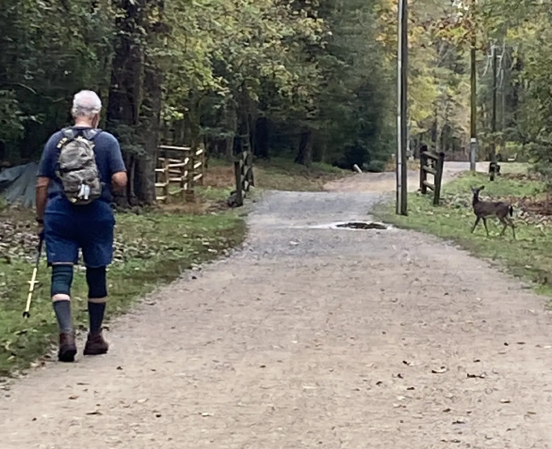 McMullen Creek Greenway McMullen Creek Greenway | Image of hiker walking a park trail