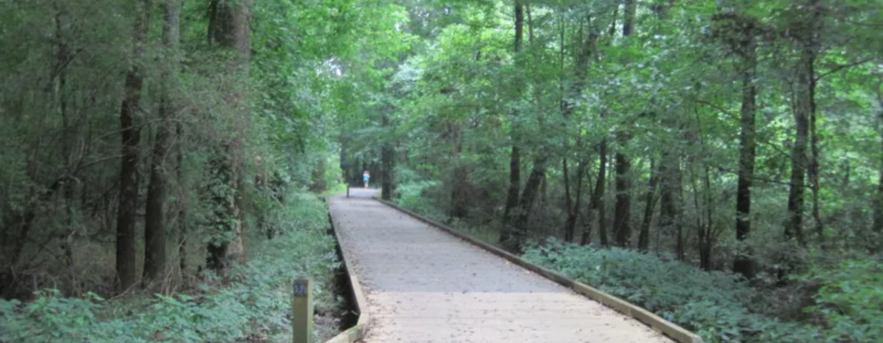 Top Running Trails Near Ballantyne | Image of running trail in Charlotte. NC