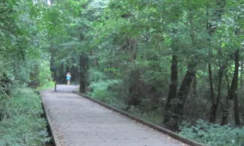 Top Running Trails Near Ballantyne for Invigorating Workouts Top Running Trails Near Ballantyne | Image of running trail in Charlotte. NC